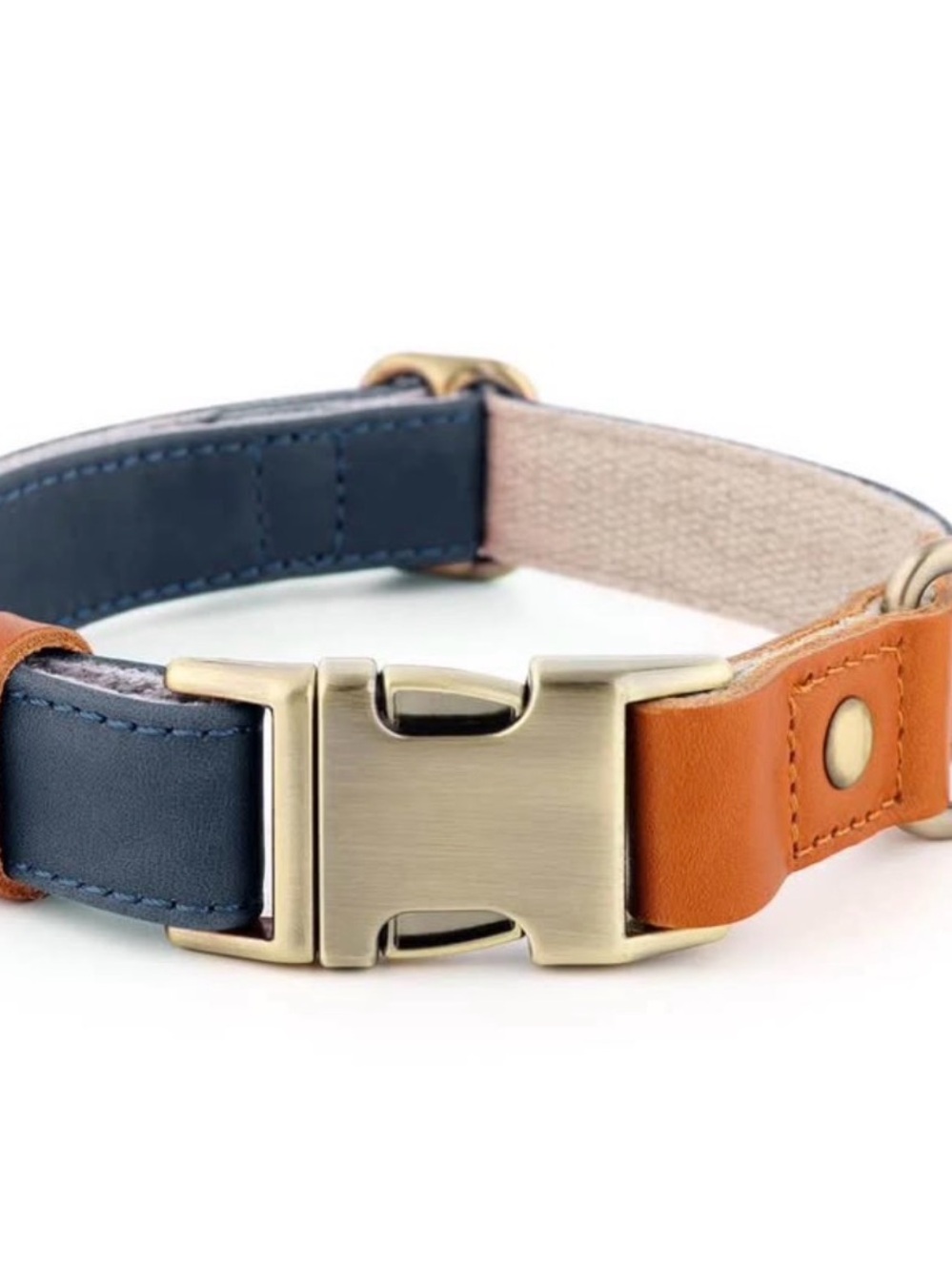 Plutus pet adjustable leather collar